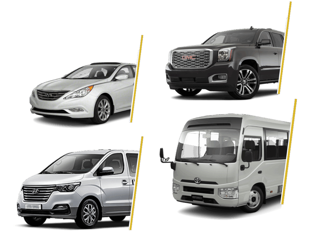 fleet - shery travel